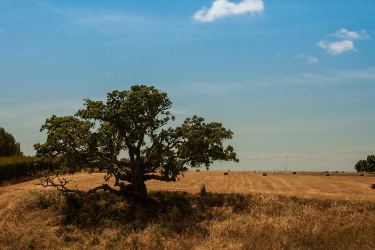 Vales Do Alentejo Vendégház Bicos Kültér fotó